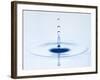 Drop of Water Falling into Water and Making Ripples-Kr?ger & Gross-Framed Photographic Print