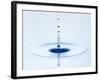 Drop of Water Falling into Water and Making Ripples-Kr?ger & Gross-Framed Photographic Print