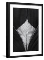 Drop on Leaf-Stephen Clough-Framed Premium Photographic Print