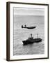 Drop over Weather Ship "India" from Raf Shackleton of 204 Squadron-null-Framed Photographic Print