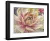 Droplet of the Desert 1-null-Framed Photographic Print