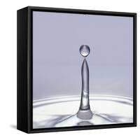 Droplet of Water and Ripple-null-Framed Stretched Canvas