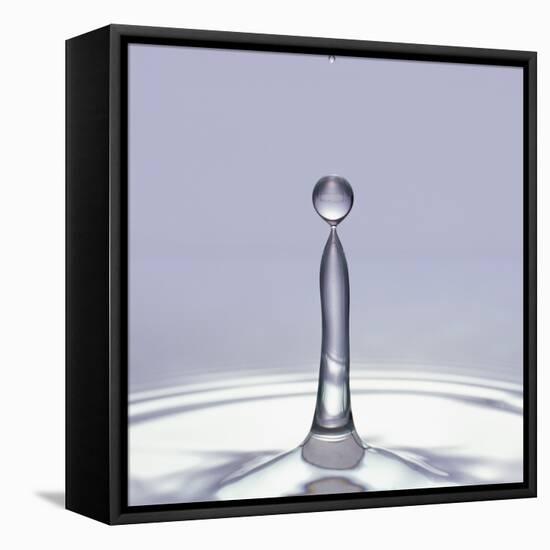 Droplet of Water and Ripple-null-Framed Stretched Canvas