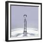 Droplet of Water and Ripple-null-Framed Photographic Print