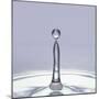 Droplet of Water and Ripple-null-Mounted Photographic Print