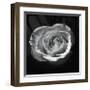 Droplets II-Tom Artin-Framed Giclee Print