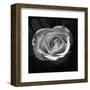 Droplets II-Tom Artin-Framed Art Print