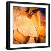 Drops of Life-Philippe Sainte-Laudy-Framed Photographic Print