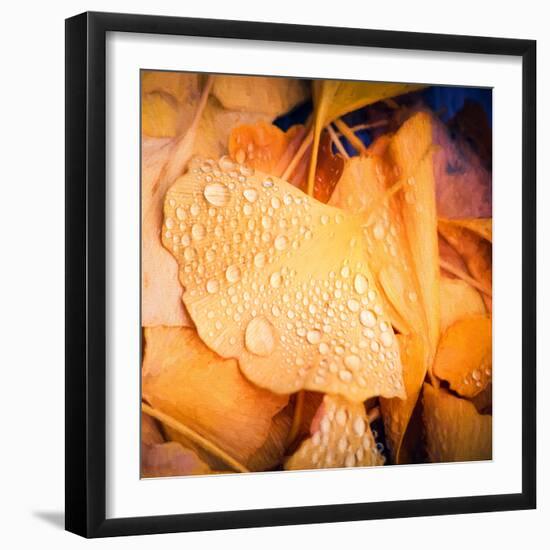 Drops of Life-Philippe Sainte-Laudy-Framed Photographic Print