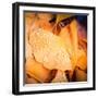 Drops of Life-Philippe Sainte-Laudy-Framed Photographic Print