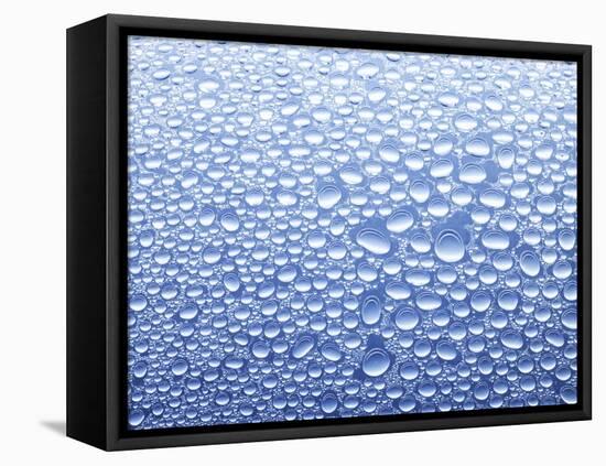 Drops of Water on Sheet of Glass with Blue Background-Marc O^ Finley-Framed Stretched Canvas