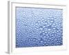 Drops of Water on Sheet of Glass with Blue Background-Marc O^ Finley-Framed Photographic Print