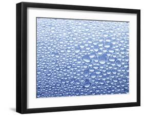 Drops of Water on Sheet of Glass with Blue Background-Marc O^ Finley-Framed Photographic Print