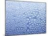 Drops of Water on Sheet of Glass with Blue Background-Marc O^ Finley-Mounted Photographic Print