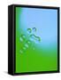 Drops of Water-Arne Morgenstern-Framed Stretched Canvas