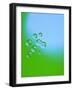 Drops of Water-Arne Morgenstern-Framed Photographic Print