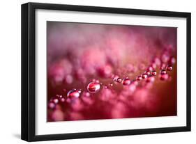 Drops on My Honda-Ursula Abresch-Framed Photographic Print