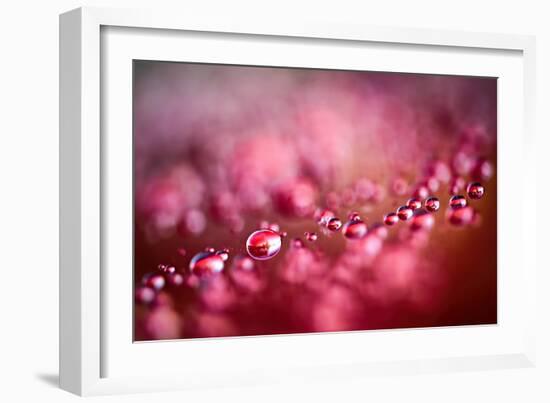 Drops on My Honda-Ursula Abresch-Framed Photographic Print