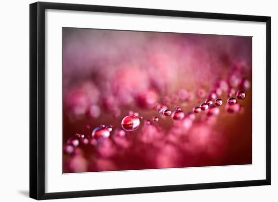 Drops on My Honda-Ursula Abresch-Framed Photographic Print