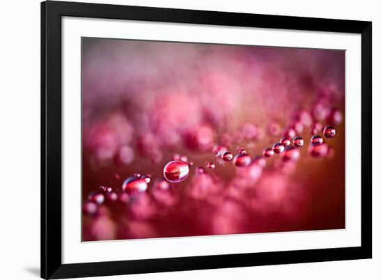 Drops on My Honda-Ursula Abresch-Framed Photographic Print