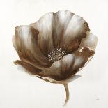 Sepia Poppy II-Drotar Drotar-Giclee Print