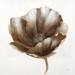 Sepia Poppy II-Drotar Drotar-Mounted Giclee Print