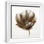 White Frame