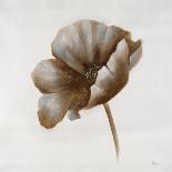 Sepia Poppy III-Drotar Drotar-Giclee Print