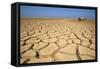 Drought Cracked Earth in the Dry Huab River-Mouth-null-Framed Stretched Canvas