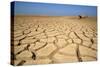 Drought Cracked Earth in the Dry Huab River-Mouth-null-Stretched Canvas
