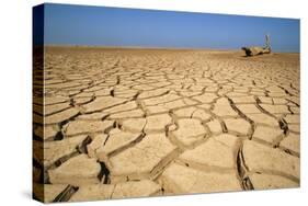 Drought Cracked Earth in the Dry Huab River-Mouth-null-Stretched Canvas