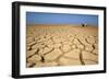 Drought Cracked Earth in the Dry Huab River-Mouth-null-Framed Photographic Print