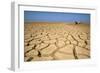 Drought Cracked Earth in the Dry Huab River-Mouth-null-Framed Photographic Print