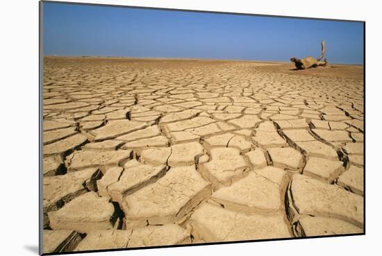 Drought Cracked Earth in the Dry Huab River-Mouth-null-Mounted Photographic Print