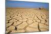 Drought Cracked Earth in the Dry Huab River-Mouth-null-Mounted Photographic Print