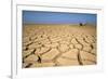 Drought Cracked Earth in the Dry Huab River-Mouth-null-Framed Photographic Print