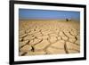 Drought Cracked Earth in the Dry Huab River-Mouth-null-Framed Photographic Print