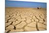 Drought Cracked Earth in the Dry Huab River-Mouth-null-Mounted Photographic Print