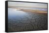 Drought Patterns around the Lagoon Etang Du Fangassier, Camargue, France, May 2009-Allofs-Framed Stretched Canvas