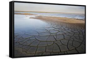 Drought Patterns around the Lagoon Etang Du Fangassier, Camargue, France, May 2009-Allofs-Framed Stretched Canvas