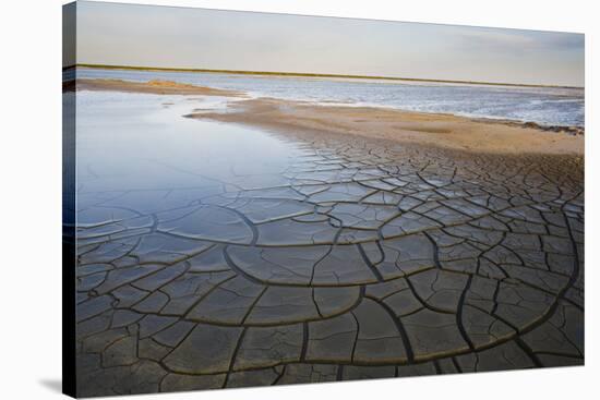 Drought Patterns around the Lagoon Etang Du Fangassier, Camargue, France, May 2009-Allofs-Stretched Canvas