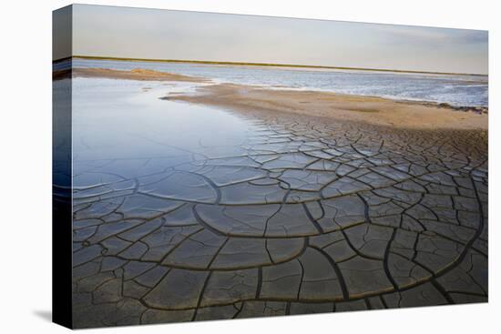 Drought Patterns around the Lagoon Etang Du Fangassier, Camargue, France, May 2009-Allofs-Stretched Canvas