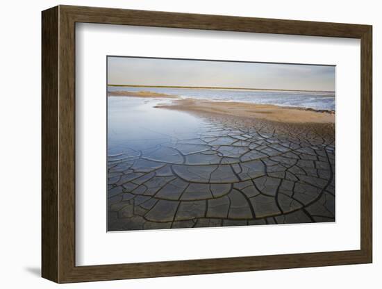 Drought Patterns around the Lagoon Etang Du Fangassier, Camargue, France, May 2009-Allofs-Framed Photographic Print