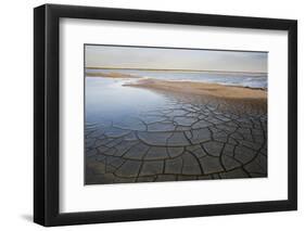 Drought Patterns around the Lagoon Etang Du Fangassier, Camargue, France, May 2009-Allofs-Framed Photographic Print