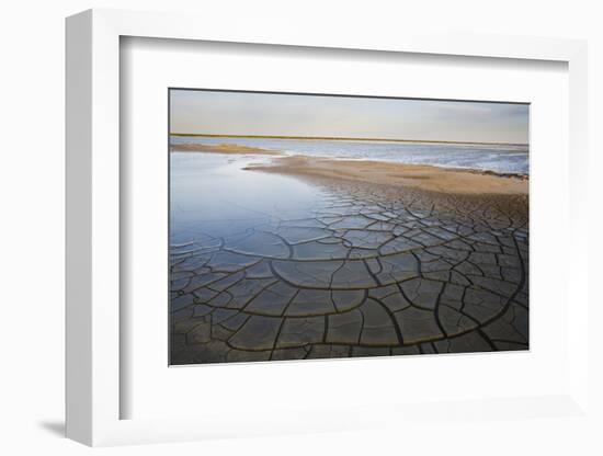 Drought Patterns around the Lagoon Etang Du Fangassier, Camargue, France, May 2009-Allofs-Framed Photographic Print