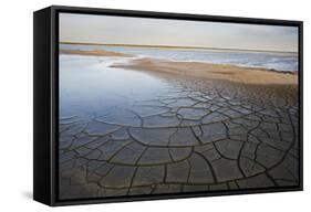 Drought Patterns around the Lagoon Etang Du Fangassier, Camargue, France, May 2009-Allofs-Framed Stretched Canvas