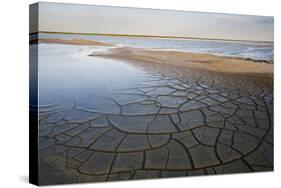 Drought Patterns around the Lagoon Etang Du Fangassier, Camargue, France, May 2009-Allofs-Stretched Canvas