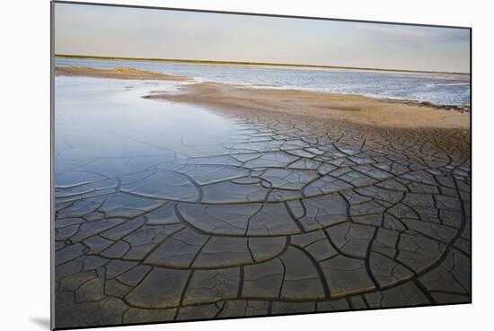 Drought Patterns around the Lagoon Etang Du Fangassier, Camargue, France, May 2009-Allofs-Mounted Photographic Print