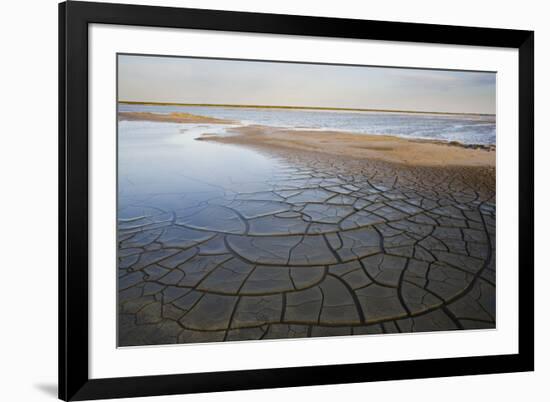 Drought Patterns around the Lagoon Etang Du Fangassier, Camargue, France, May 2009-Allofs-Framed Photographic Print