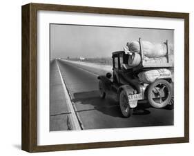 Drought Refugee, 1936-Dorothea Lange-Framed Giclee Print